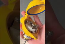 Can nhiệt Thermocouple model CT-X/175/2xJ/2/O/IIExi | Aplisens | Authorized Distributor in Vietnam APLISENS Việt Nam | Distributor