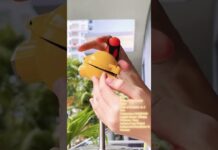 Bật mí bí quyết sử dụng CẢM BIẾN NHIỆT ĐỘ RTD MODEL CT-T1/450/DN25PN40/Pt100/A/4 để đạt hiệu quả cao